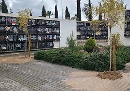 Zona de reciente construcción en el cementerio jienense de San Fernando.
