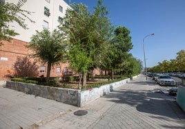 Los hechos tuvieron lugar en la calle Casería del Cerro de la zona Norte de Granada