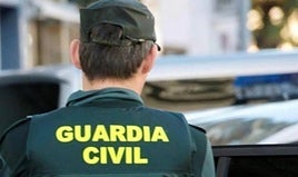 El presunto autor de los incendios en dos casas de Zafarraya es un conocido de las víctimas