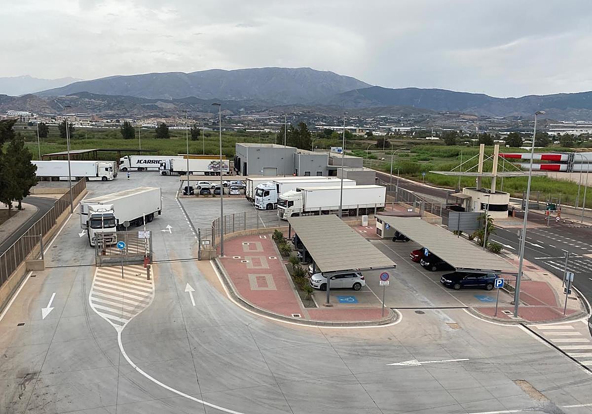 El Puerto de Motril podrá transportar animales vivos a terceros países y Europa