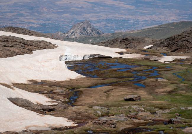 La capa verde gana la batalla a la nieve durante el deshielo en Sierra Nevada.