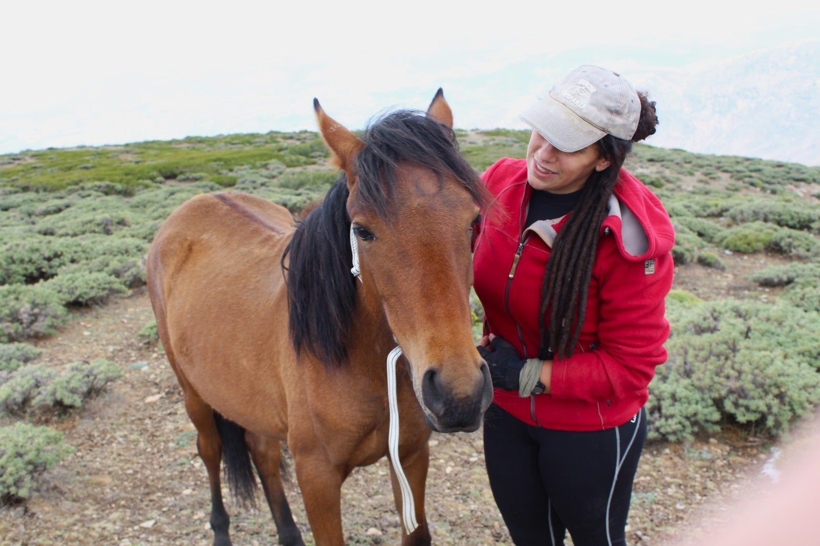 Las imágenes de los caballos en Sierra Nevada del último videoclip de Dellafuente
