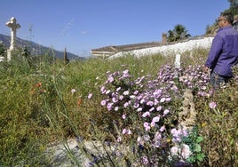 Cementerio de Bayacas.