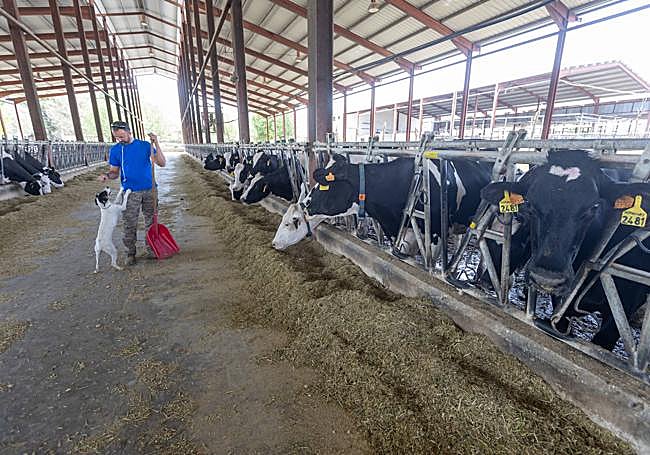Los Pastoreros llevan su leche desde la década de los cincuenta a hogares y negocios.