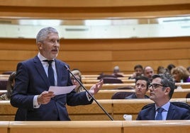 Marlaska pide «conjugar derechos» de presos y víctimas ante la queja de la madre de Gabriel en el Senado