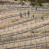 El mayor parque fotovoltaico de la provincia moverá una inversión de 230 millones