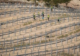 Profesionales trabajan en la instalación de la planta solar de Iberdrola en Ventas de Huelma.