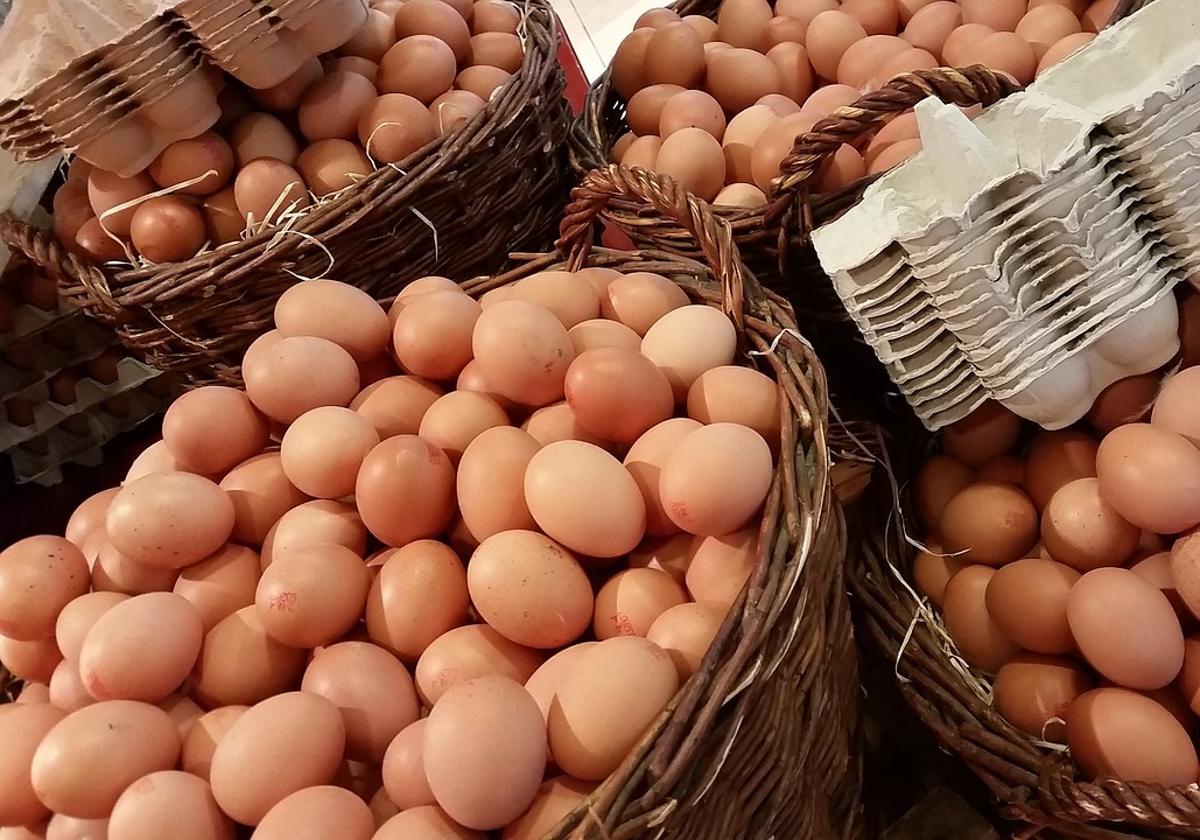 Aviso de la OCU sobre los huevos ecológicos: misma calidad, al doble de precio.