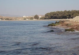 Estas son las playas de Almería con Bandera Negra