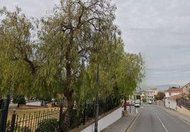 Zona aproximada de La Zubia en la que tuvo lugar la detención.