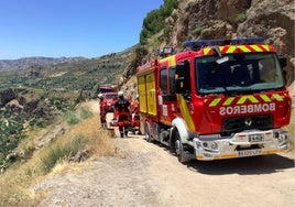 Los Bomberos de Granada, durante las tareas de rescate.