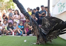 Niños de Dílar frente al quebrantahuesos