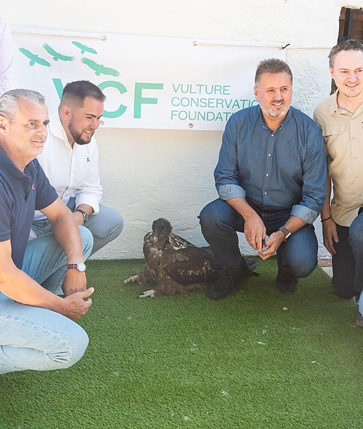 Imagen secundaria 2 - Introducción del quebrantahuesos en Dílar.