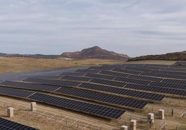 El parque agrovoltaico de Alhendín, que se acaba de finalizar y donde se sembrará forraje a partir de septiembre.