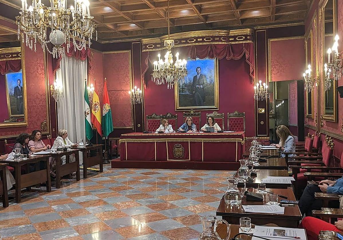 Comisión informativa de Movilidad, este martes.