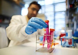 Almería, tierra de antibióticos