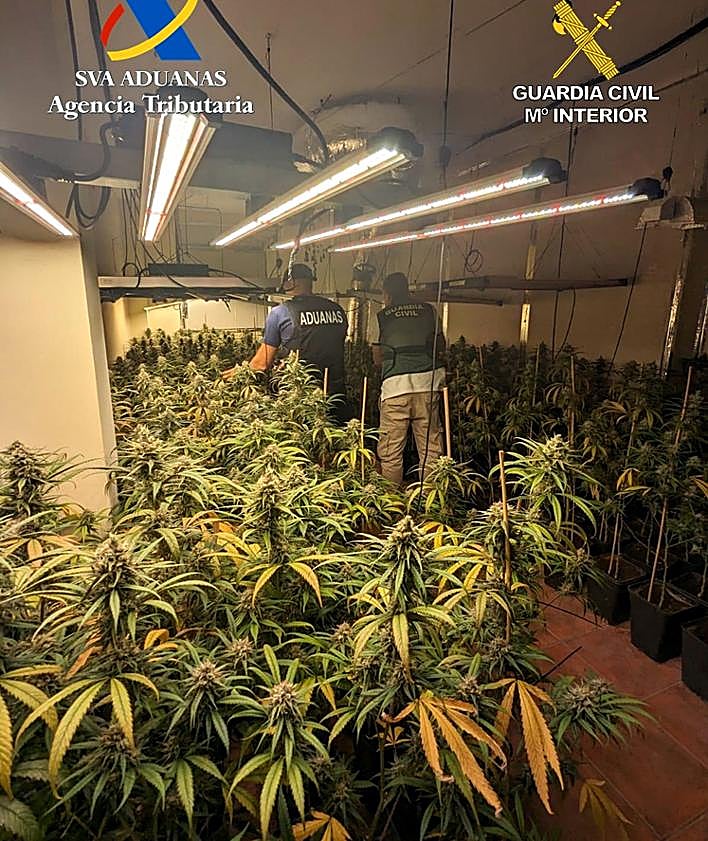 Imagen secundaria 2 - La vecina de Otura que tenía su casa llena de marihuana