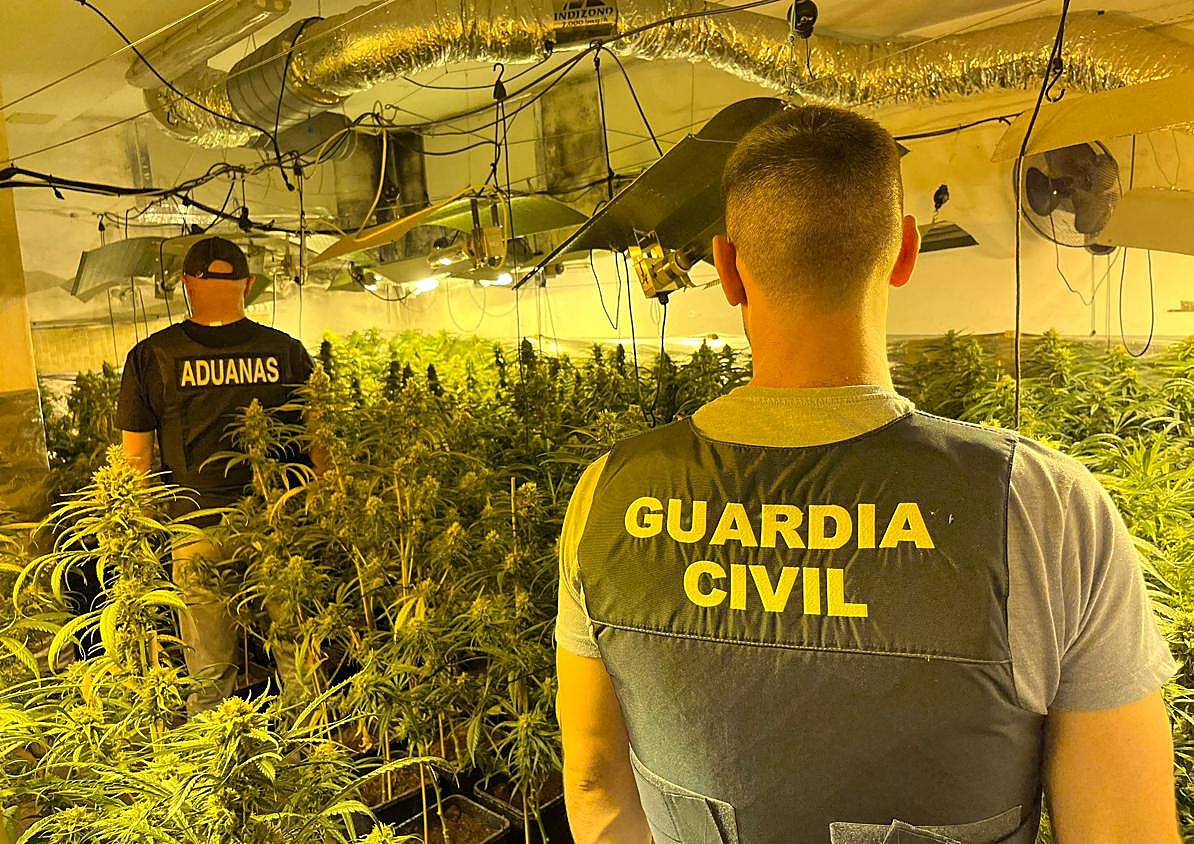 Imagen secundaria 1 - La vecina de Otura que tenía su casa llena de marihuana