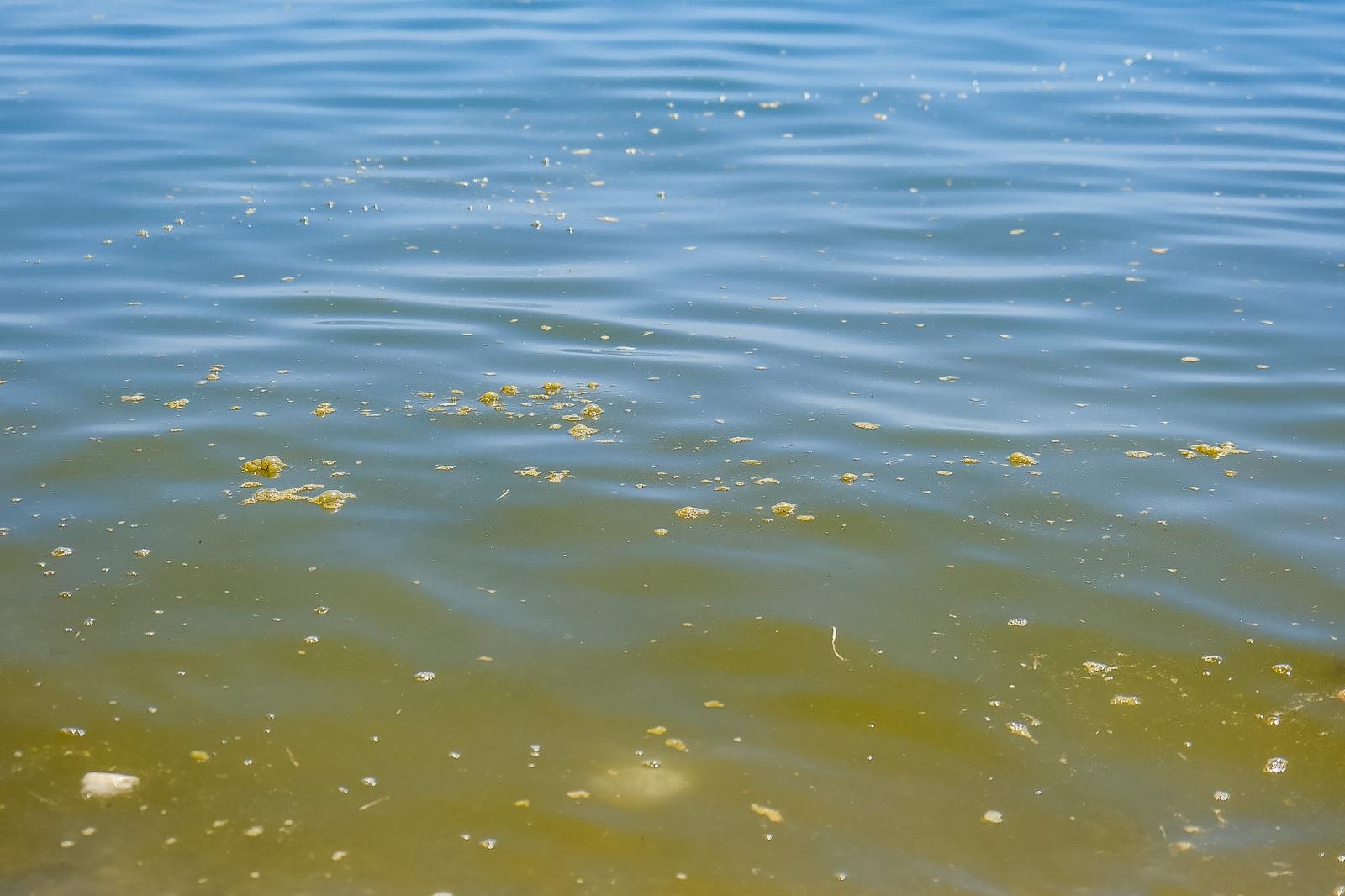 Las imágenes del regreso de la mancha a la playa de Salobreña