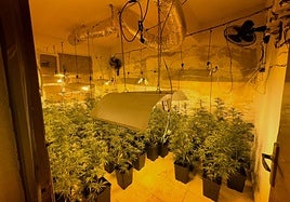 La empresa Cuerva detecta varios enganches ilegales a la red eléctrica en Granada.