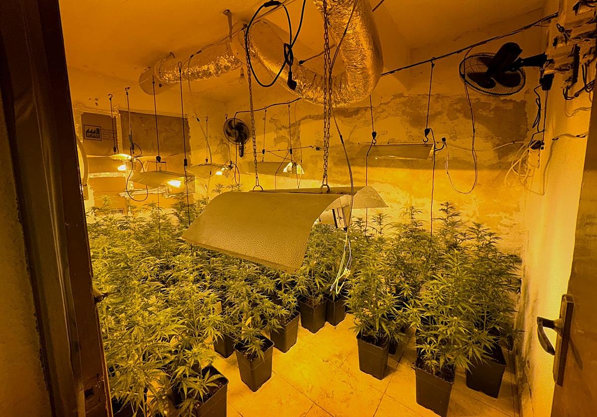 La empresa Cuerva detecta varios enganches ilegales a la red eléctrica en Granada.