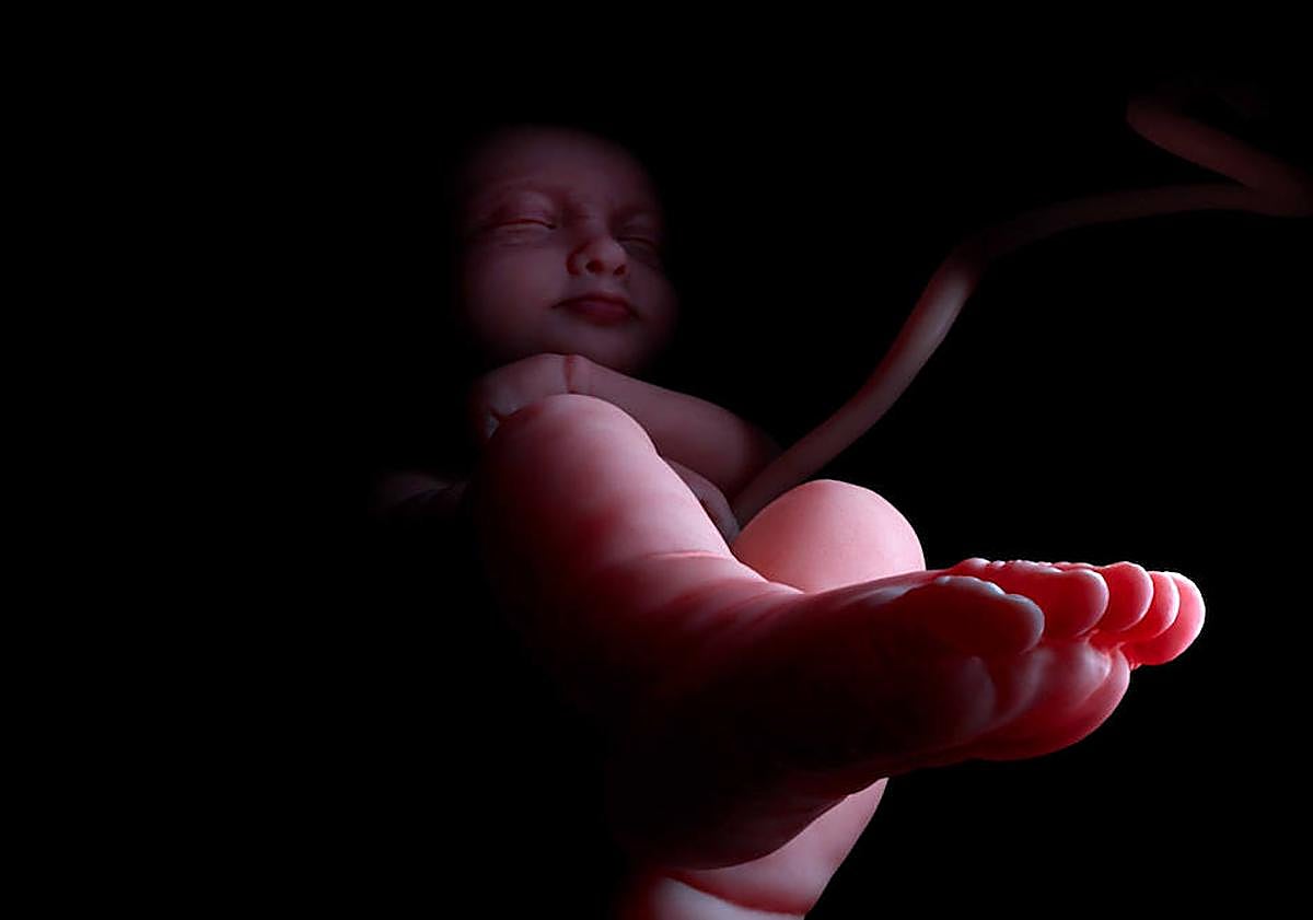 Imagen principal - Fotogramas de la película. 