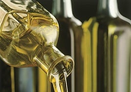 Almería lidera las exportaciones agroalimentarias internacionales andaluzas con el 28,6% del total