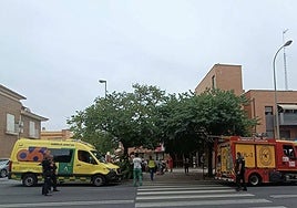 Usuarios de la residencia y efectivos de Policía, Bomberos y 061 en el lugar.