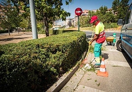 Un operario arregla una zona de setos en Granada.
