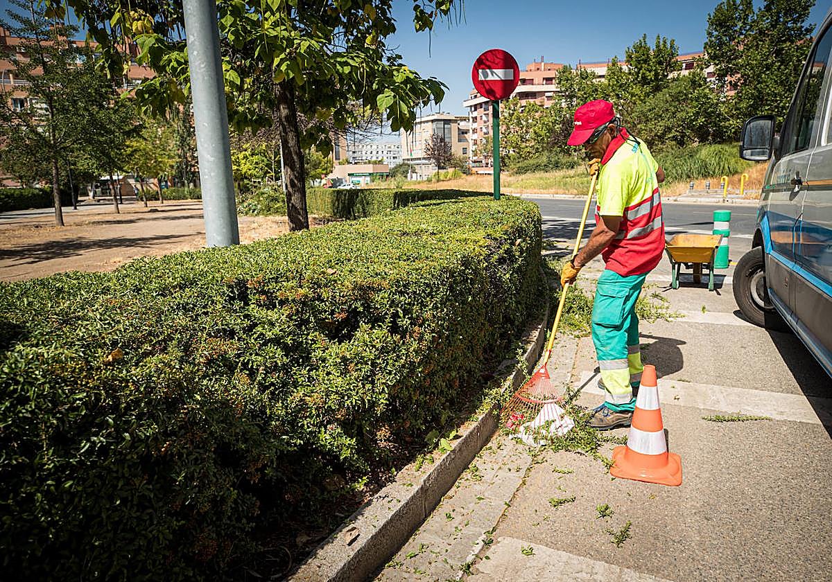 Un operario arregla una zona de setos en Granada.