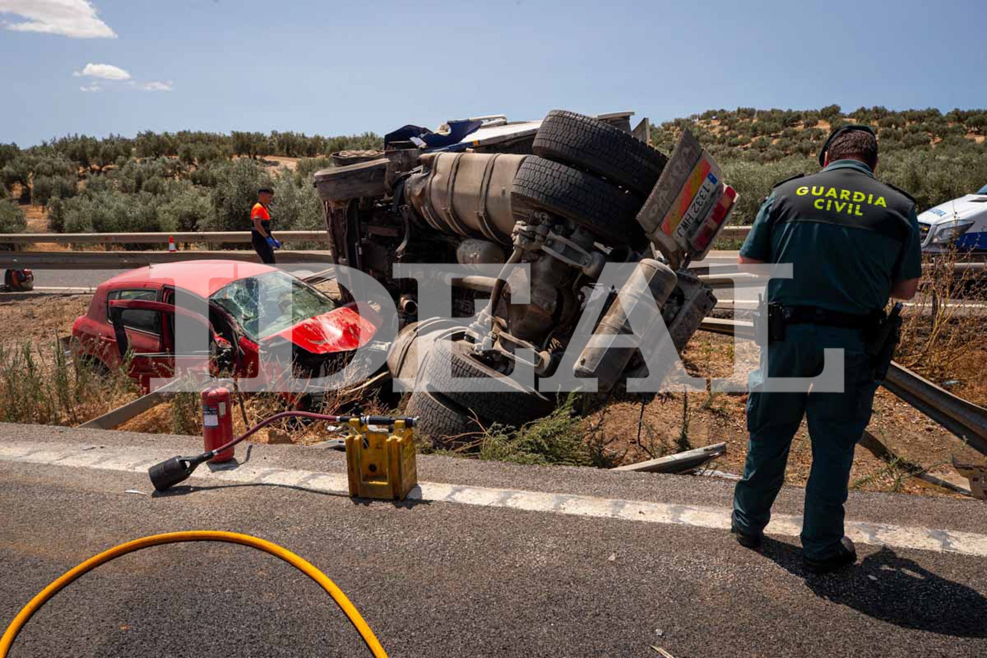 Las imágenes de los cerdos sueltos en la A-92 en Granada