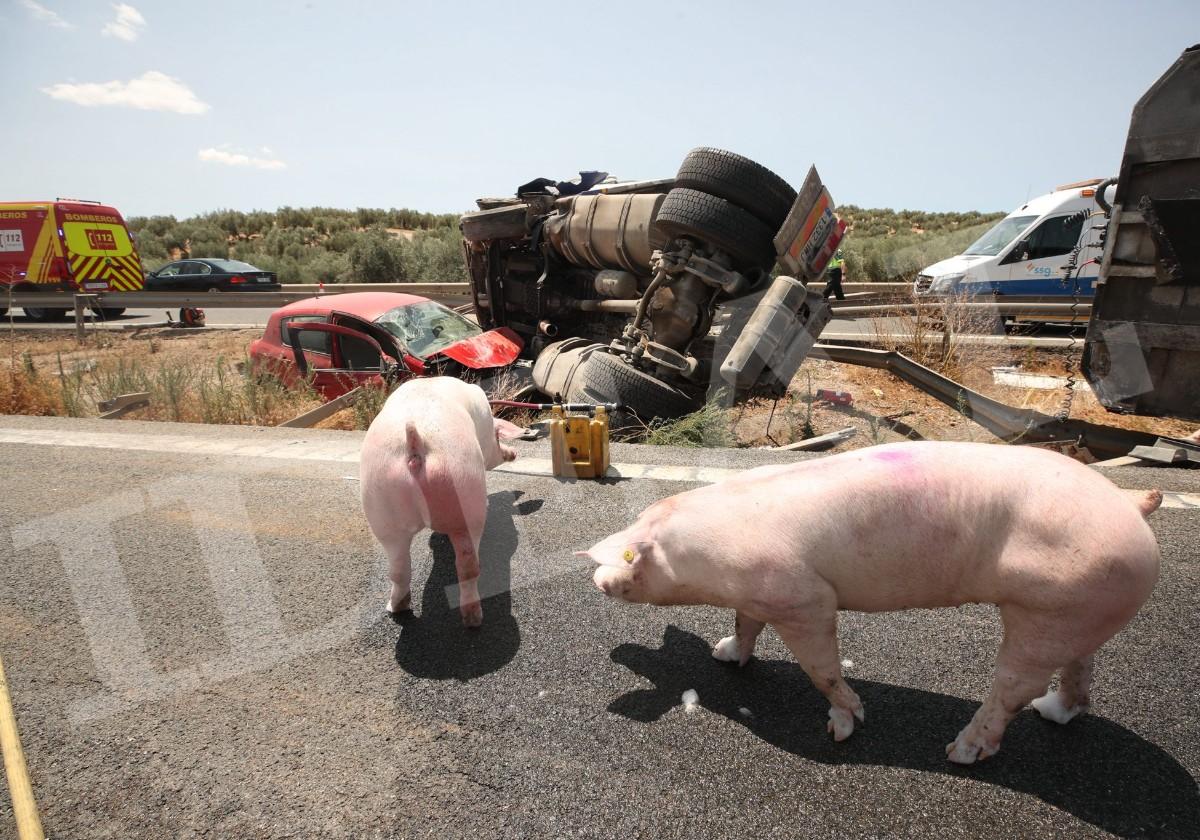 Accidente en la A-92