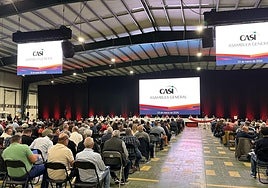 Absuelven a la antigua cúpula de CASI de defraudar 1,2 millones de euros por alterar el precio del tomate