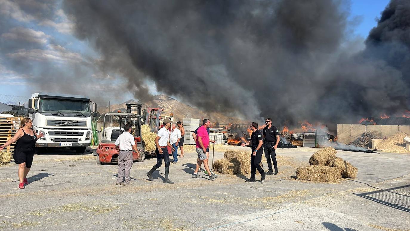 Las imágenes del incendio en Pinos Puente