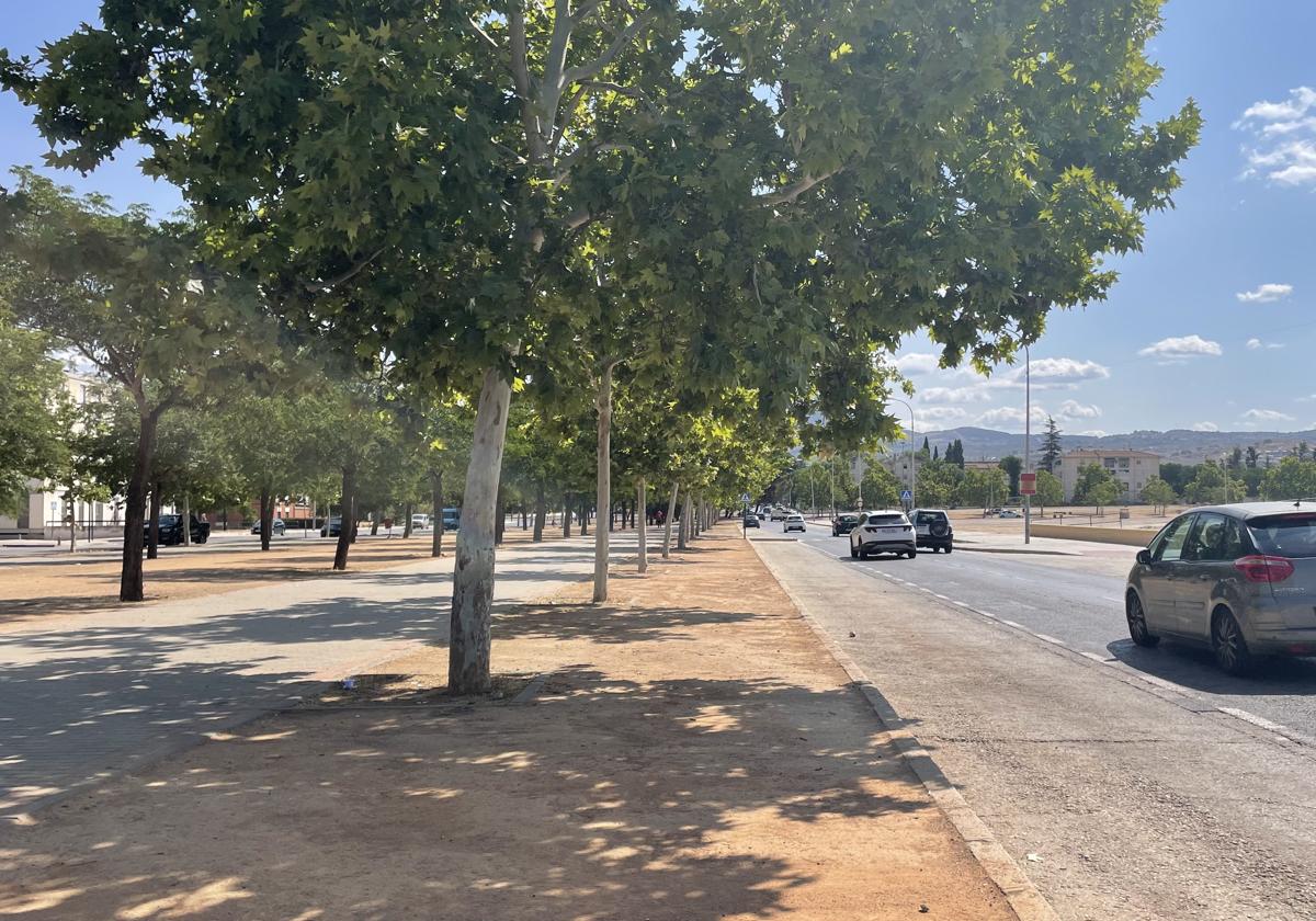 El mercadillo se instala cada domingo en la calle Casería Aguirre -en la foto- y en la Avenida Joaquina Eguaras, la perpendicular.