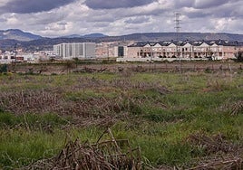 Terrenos para la ampliación del PTS.