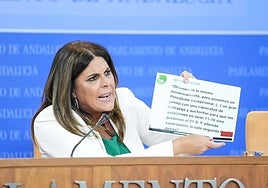 Ángeles Férriz, en un momento de su comparecencia