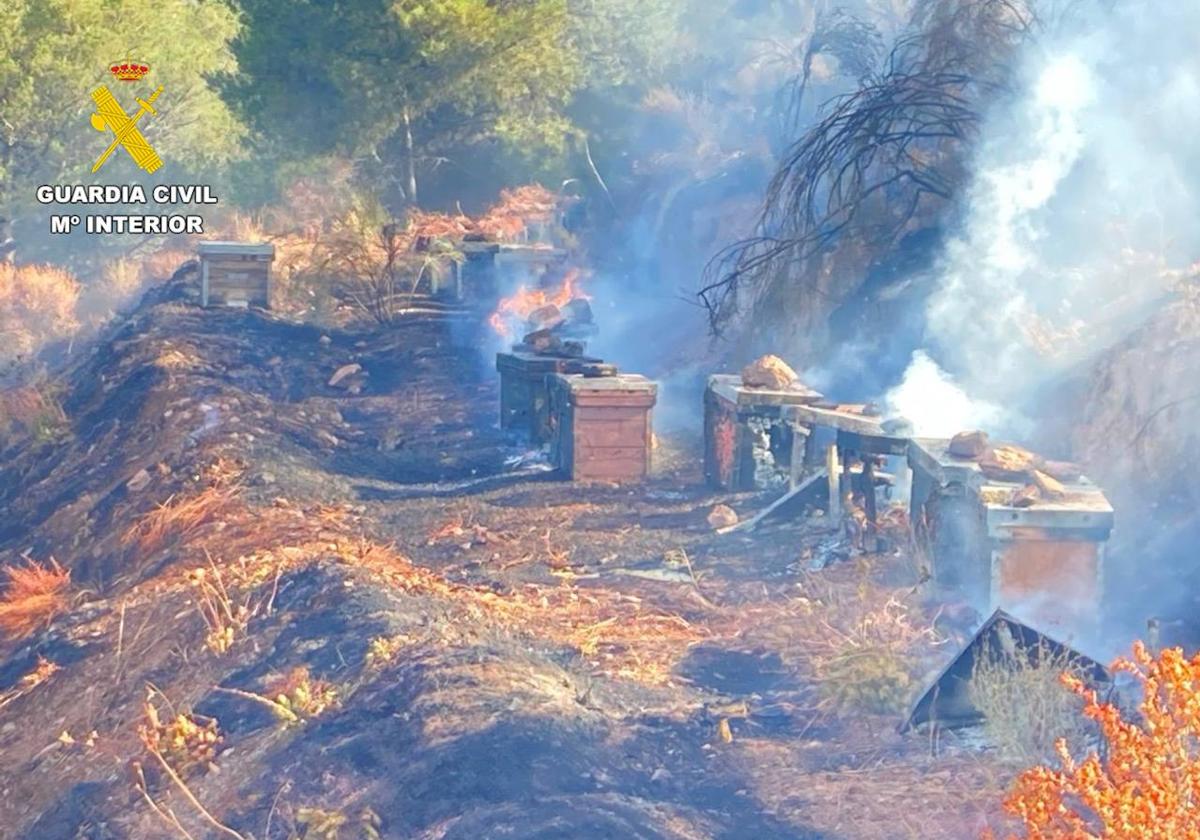 Investigado un apicultor por provocar un incendio forestal en Turón.