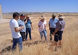 Asaja calcula una caída del 22% del valor de la producción hortofrutícola pese a crecer un 14% en esta campaña