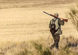 Un cazador recorre los campos pertrechado para la actividad cinegética.