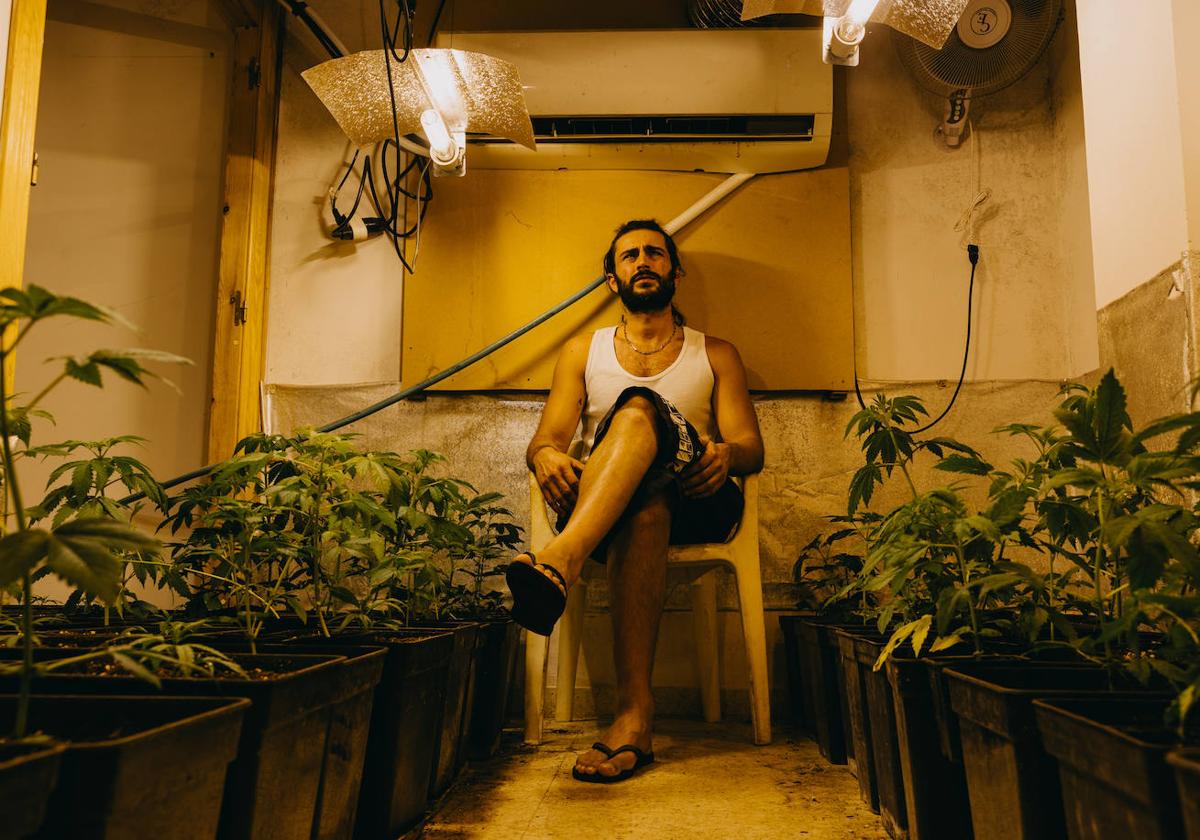 Plantación de marihuana real en la que participó el actor Rubén Bernal.