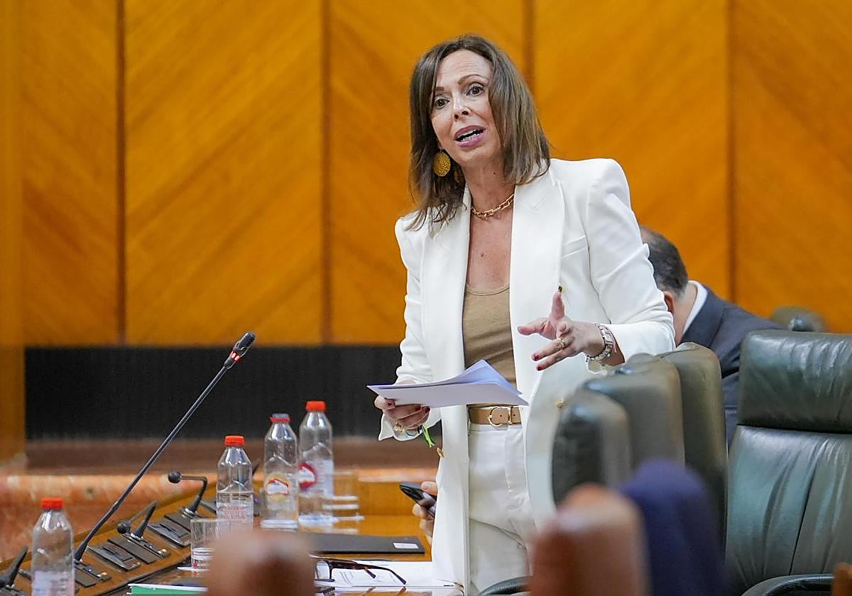 La consejera de Fomento, Articulación del Territorio y Vivienda, Rocío Díaz durante la intervención en la segunda jornada del Pleno del Parlamento andaluz.