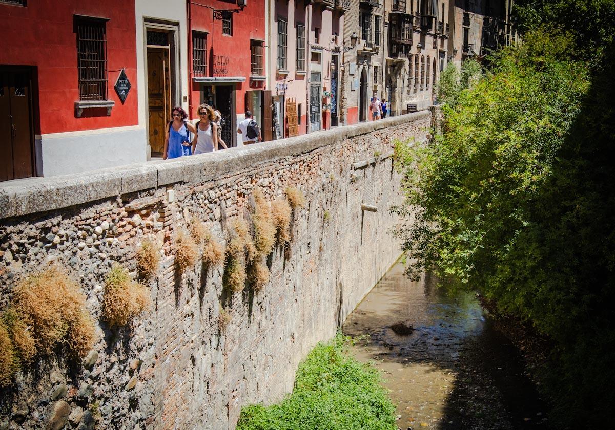 Las imágenes de la suciedad del río Darro este viernes en Granada