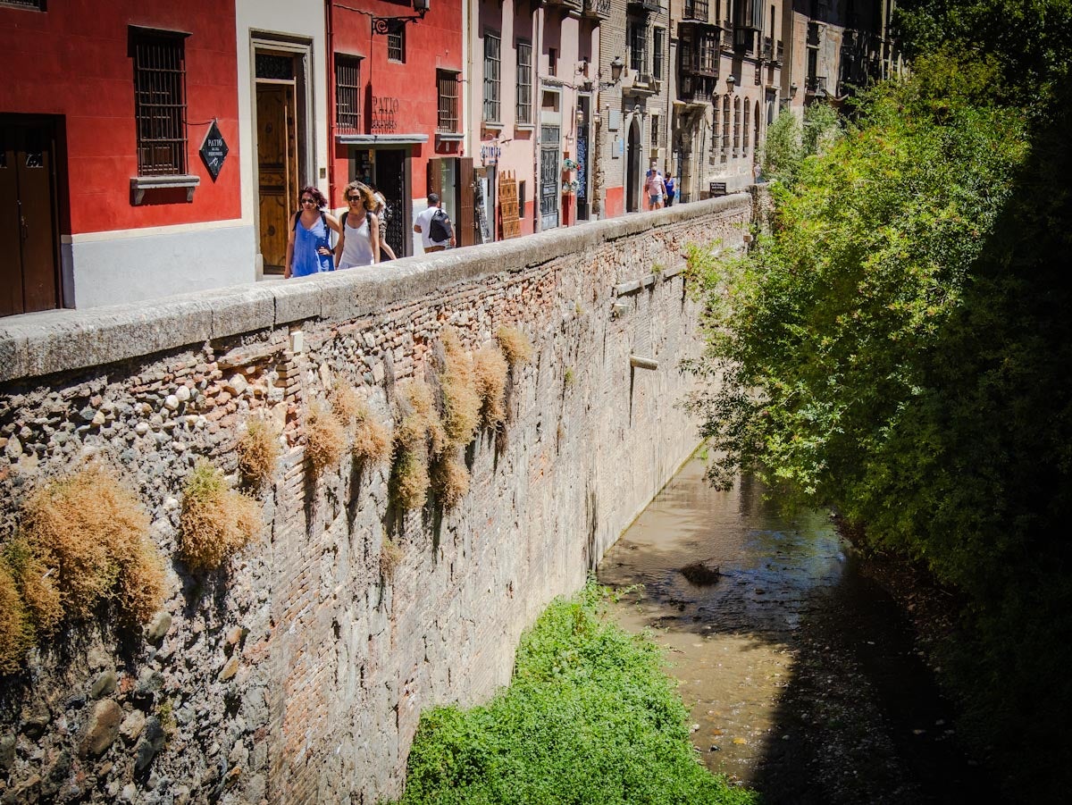 Las imágenes de la suciedad del río Darro este viernes en Granada