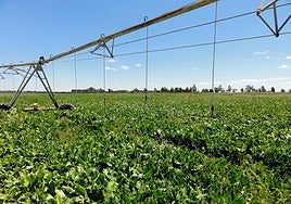 La Junta destina 100 millones en ayudas a modernizarla maquinaria y el equipamiento agrario