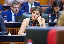 «La ambulancia llegó cuando llegó»: La consejera de Salud pide «disculpas» por el fallecido en Bentarique