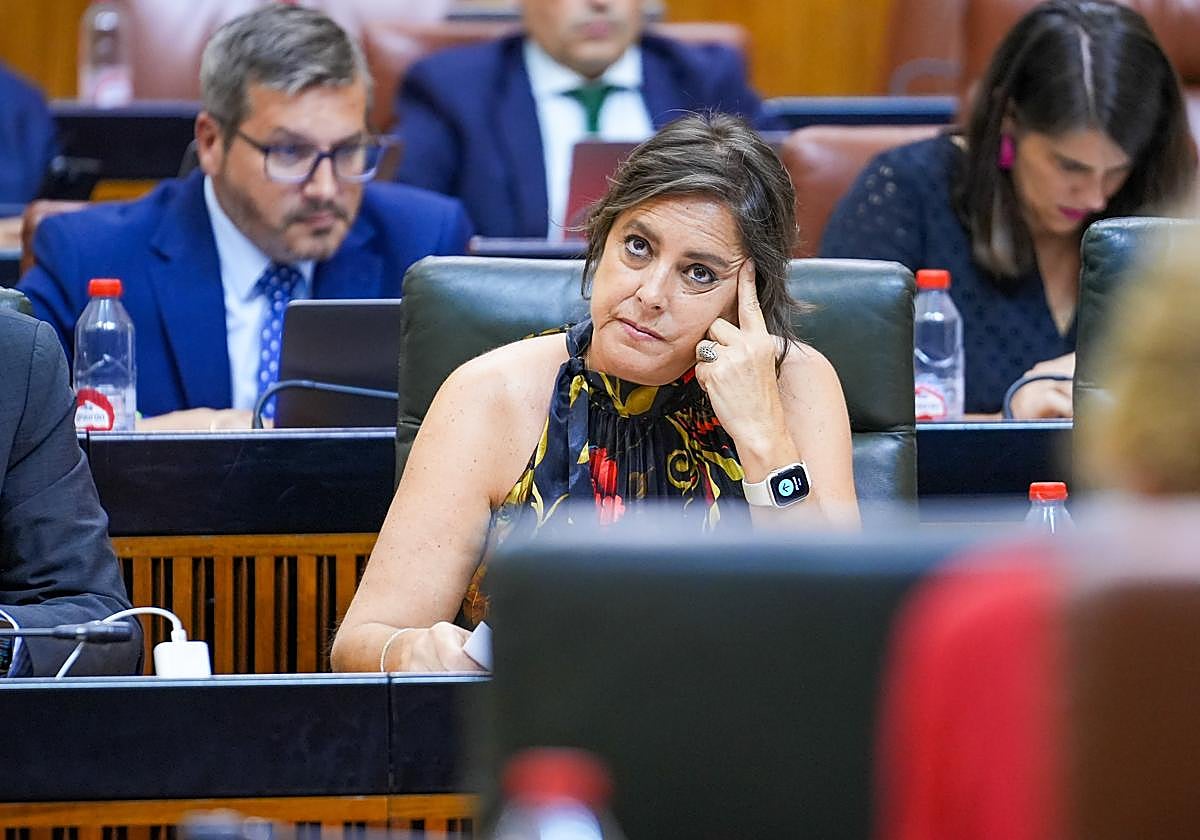 «La ambulancia llegó cuando llegó»: La consejera de Salud pide «disculpas» por el fallecido en Bentarique