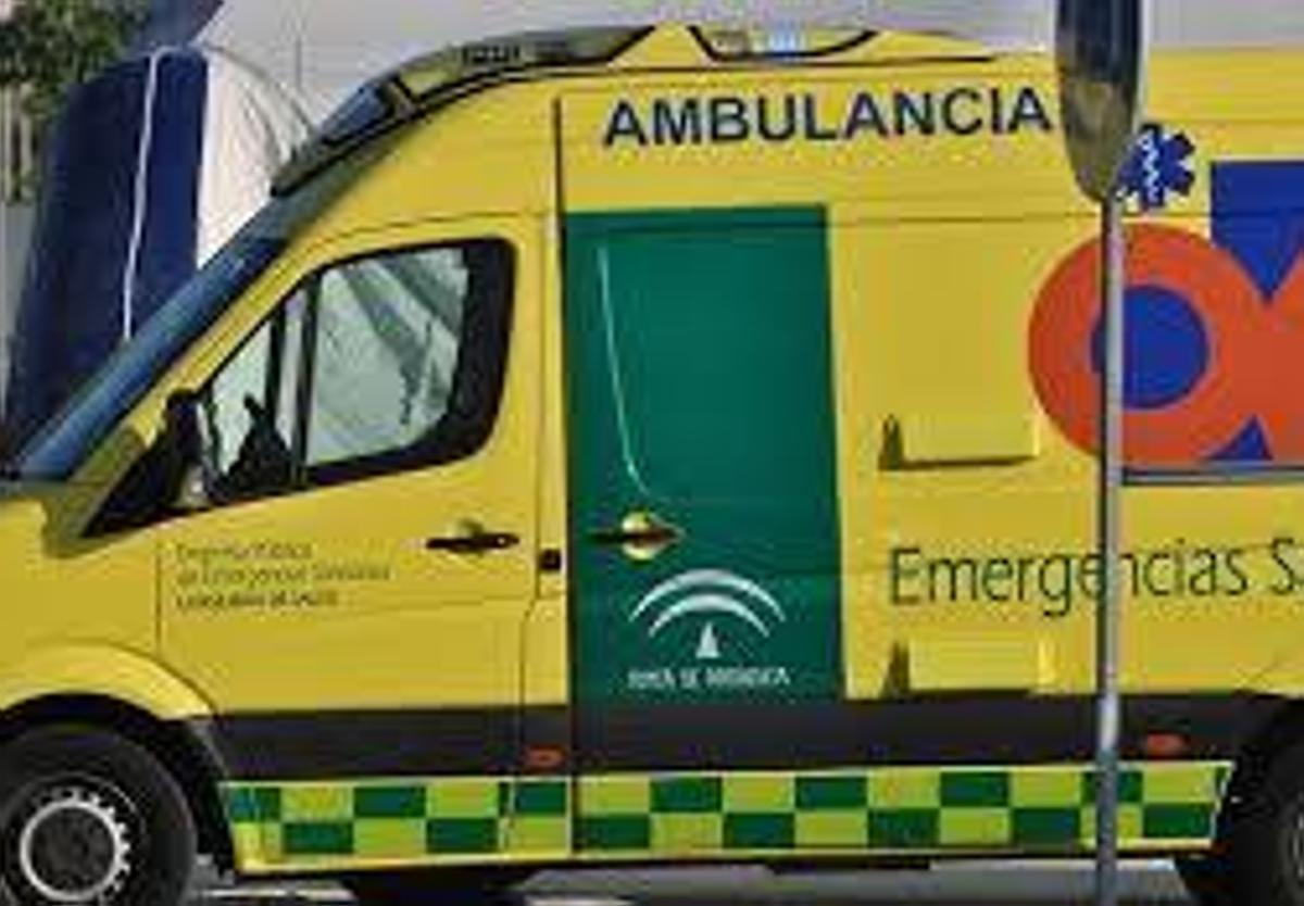 El médico certificó su muerte en el lugar del suceso.