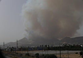 Las imágenes del incendio forestal de Pinos Puente