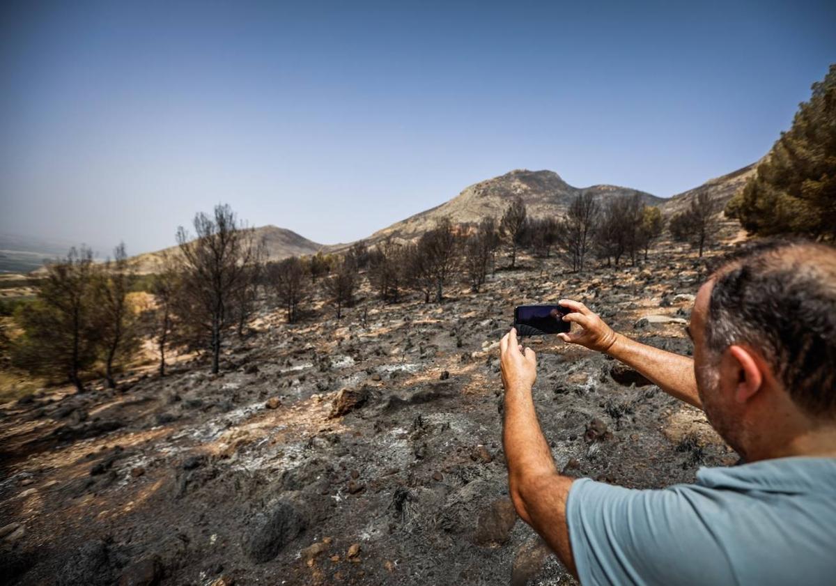 Imagen principal - Perspectiva de los efectos del incendio en Pinos Puente y el Puesto de Mando Avanzado.